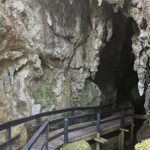 Haruru Waterfalls and Glow Worm Caves Tour - Who Should Book This Tour?
