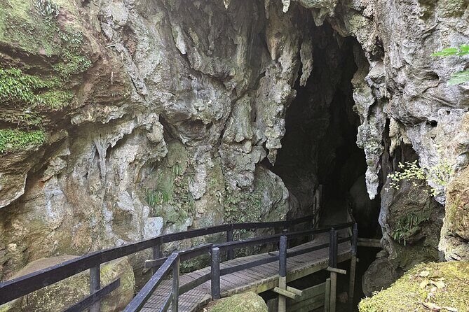 Haruru Waterfalls and Glow Worm Caves Tour - Who Should Book This Tour?