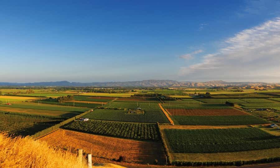 Hastings: Bridge Pa/Gimblett Winery Tour on a Regular Bike - Pricing and Value Analysis