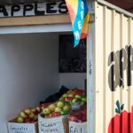 Hastings Caves, Tahune Airwalk and the Huon Tasting Trail - Transportation and Group Size