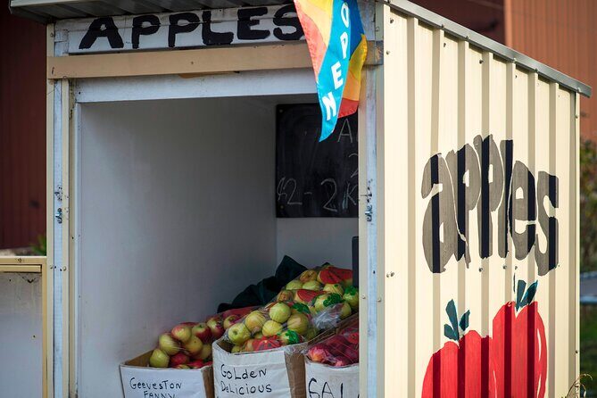 Hastings Caves, Tahune Airwalk and the Huon Tasting Trail - Transportation and Group Size