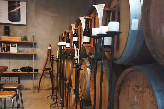 Hawkes Bay Wine Tour: Explore NZ's Great Wine Capital - Visiting Boutique Wineries: Quality Over Quantity