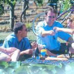 Hawkes Bay Wineries Self-Guided Bike Tour - Authentic Experiences and What Travelers Say