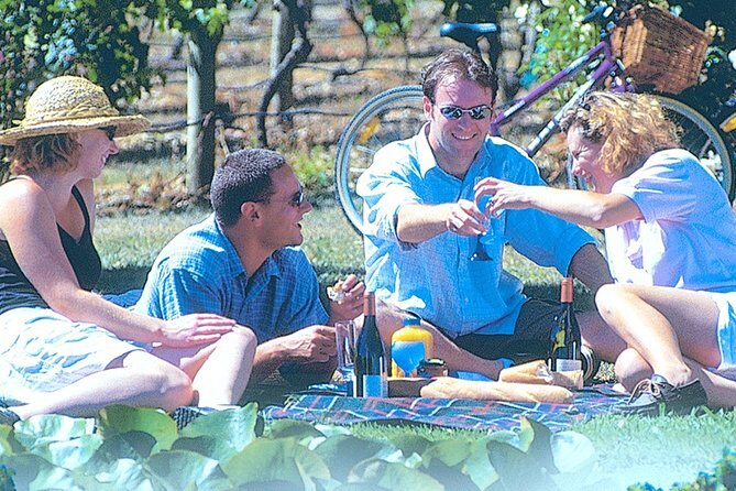 Hawkes Bay Wineries Self-Guided Bike Tour - Authentic Experiences and What Travelers Say