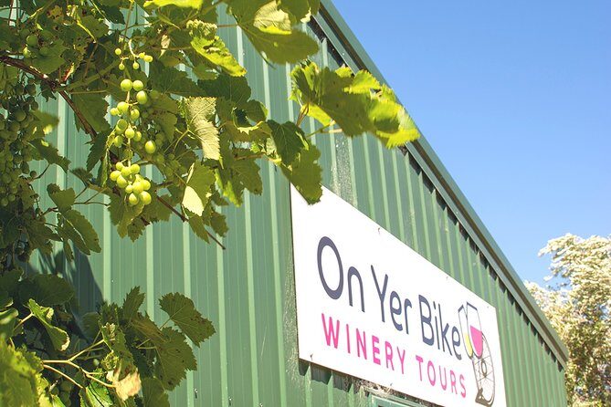 Hawkes Bay Wineries Self-Guided Electric Bike Tour - Authentic Experiences and Real Travelers’ Feedback