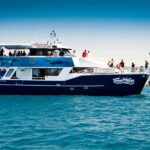 Hervey Bay 4-Hour Whale Watch Encounter - Deep Dive into the Experience