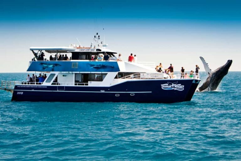 Hervey Bay 4-Hour Whale Watch Encounter - Deep Dive into the Experience