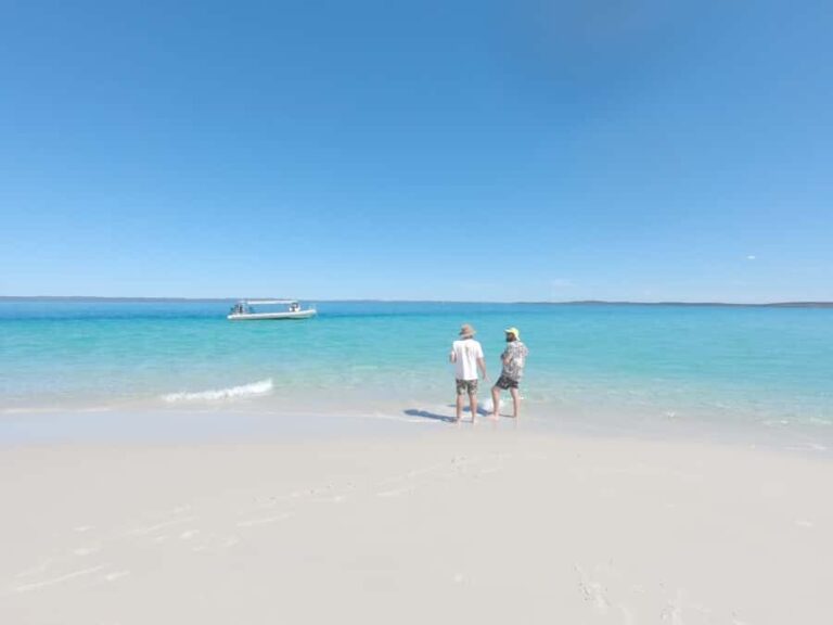 Hervey Bay: Exclusive Island Hopper Adventure Cruise - The Itinerary: What to Expect on the Day