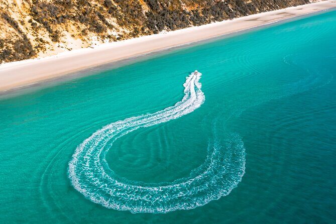 Hervey Bay: Half Day Whale watching & Island Stop Tour - Authentic Experiences from Travelers