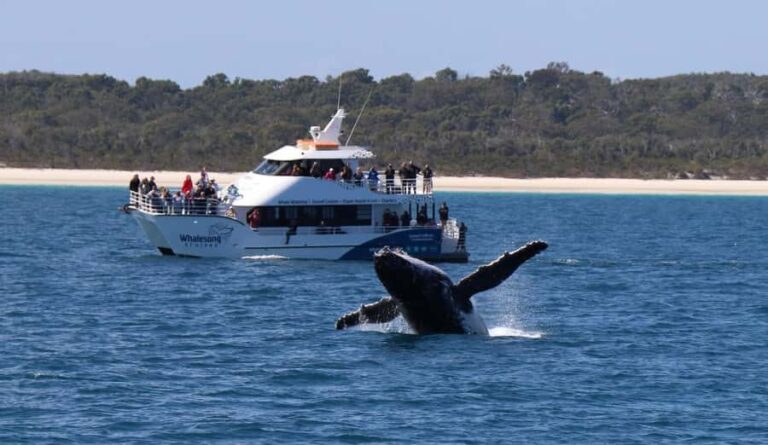Hervey Bay: Pre-season Whale and Dolphin Watching Cruise - Who Will Enjoy This Tour?