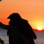 Hervey Bay: Relaxing Sunset Cruise with Champagne and Prawns - The Value of This Experience