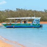 Hervey Bay: Turtle Discovery Eco Tour - Authentic Experiences and Real Travelers Insights