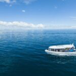 Hervey Bay Ultimate Whale Watching Cruise - The Sum Up