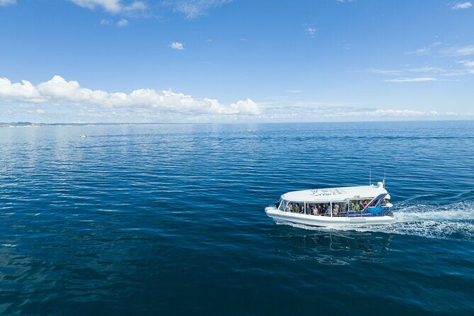 Hervey Bay Ultimate Whale Watching Cruise - The Sum Up