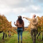 Hidden Gems: Boutique Full-Day Wine, Farm & Lunch Tour - An Overview of the Experience