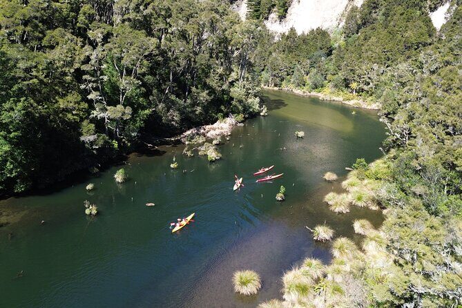 Hidden Lake Kayak Tour in Taups Secret Gem - Who Would Love This Tour?