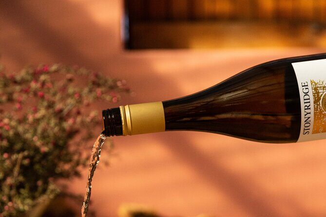 High End Sommelier Tour on Waiheke Island - Authentic Feedback: What Tour Participants Say