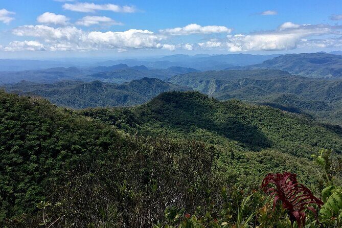 Hiking Adventure including Fiji's Highest Mountain and 3 Nights - Practical Considerations and Tips