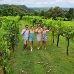 Hinterland Cheese & Wine Tasting Tour - with 2 course lunch included - Authentic Experiences and Reviews from Travelers