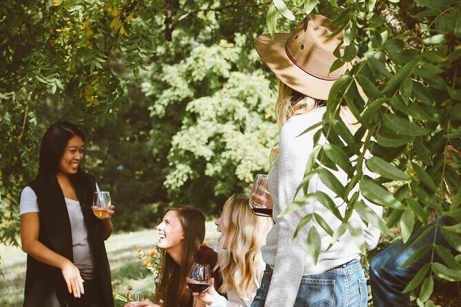 Hinterland Heritage Wine Tour - Who Should Consider This Tour?