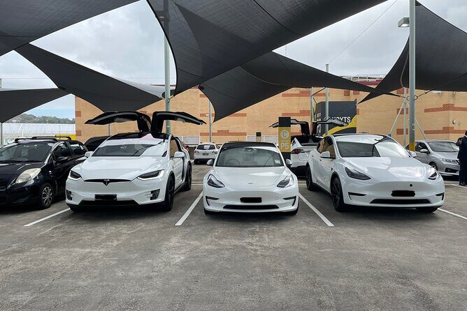 Hire Car and Limousine Service - The Sum Up