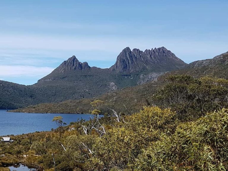 Hobart: 4 Day Wild Tasmania Tour - The Accommodation and Food Experience