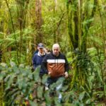 Hobart: Bruny Island Gourmet Sightseeing Day Tour - What You Can Expect from the Tour