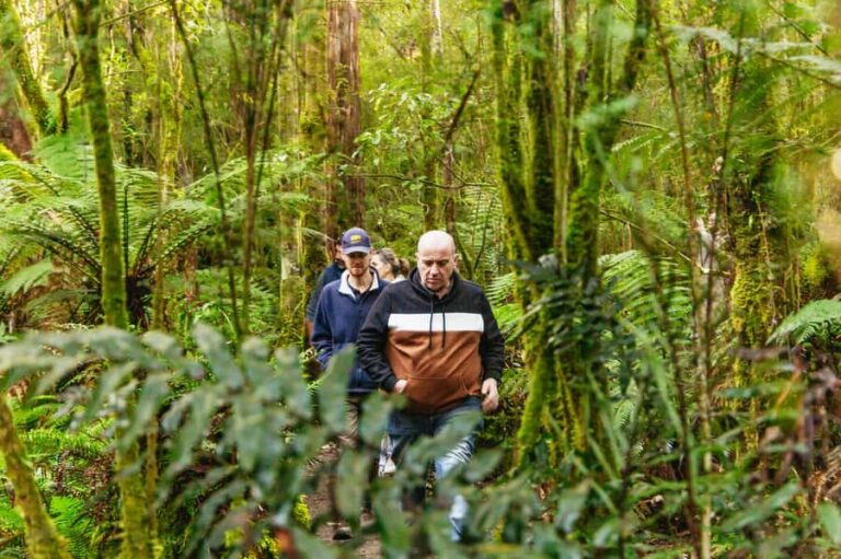 Hobart: Bruny Island Gourmet Sightseeing Day Tour - What You Can Expect from the Tour