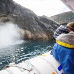 Hobart: Bruny Island Wilderness Coast Eco Cruise with Lunch - Itinerary Breakdown: What to Expect