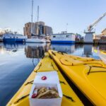Hobart City 2.5-Hour Kayak Tour - The Sum Up