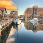 Hobart: Full-Day Bonorong Wildlife Sanctuary & Richmond Tour - A Detailed Look at the Tour Experience