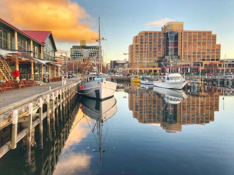 Hobart: Full-Day Bonorong Wildlife Sanctuary & Richmond Tour - A Detailed Look at the Tour Experience