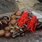 Hobart: Full-Day Tasmania Gourmet Seafood Cruise - The Itinerary in Detail