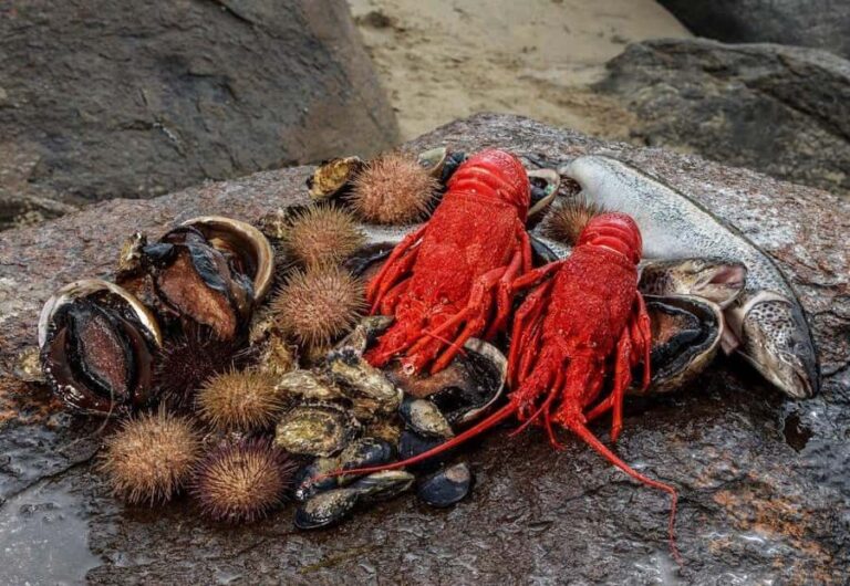 Hobart: Full-Day Tasmania Gourmet Seafood Cruise - The Itinerary in Detail