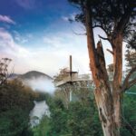 Hobart: Hastings Cave, Tahune Airwalk and Huon Tasting Trail - Why This Tour Works