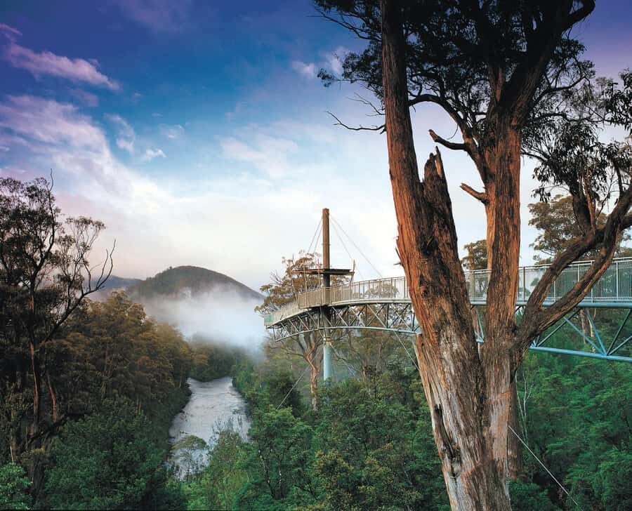 Hobart: Hastings Cave, Tahune Airwalk and Huon Tasting Trail - Why This Tour Works