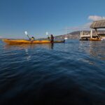 Hobart Kayak Tour - Who Should Consider This Tour?