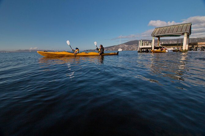 Hobart Kayak Tour - Who Should Consider This Tour?