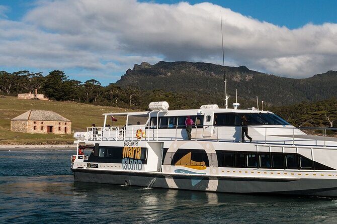 Hobart: Maria Island National Park - Nature & Wildlife Adventure - Why This Tour Offers Value