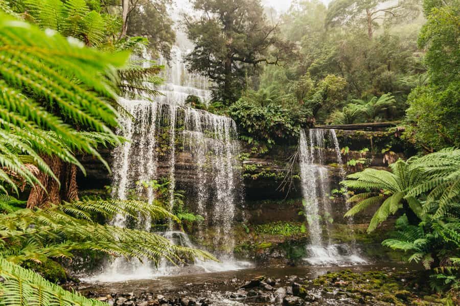 Hobart: Mt Wellington, Mt Field, Bonorong and Richmond Trip - Transportation and Practical Details