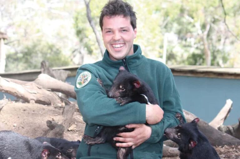 Hobart: Mt Wellington, Richmond, & Bonorong Wildlife Tour - What to Expect from the Experience