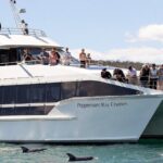 Hobart River Derwent Guided Cruise Tour - What the Guides Bring to the Experience