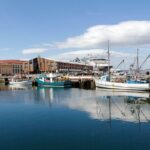 Hobart Shore Excursion: Hobart Attractions Bus - The Sum Up: Is This Tour Worth It?