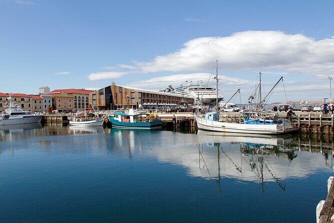 Hobart Shore Excursion: Hobart Attractions Bus - The Sum Up: Is This Tour Worth It?