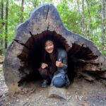 Hobart: Tahune Airwalk, Hastings Cave, Thermal Springs Tour - In-Depth Review of the Hobart: Tahune Airwalk, Hastings Cave, Thermal Springs Tour