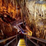 Hobart: Tahune Airwalk, Hastings Caves & Thermal Springs Pool - The Sum Up: Who Will Love This Tour?