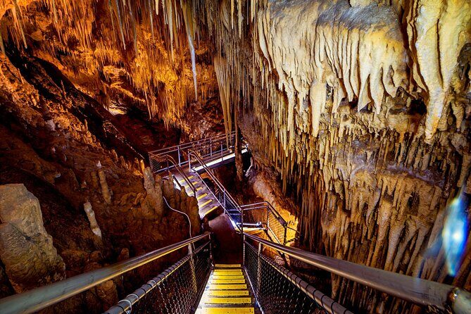 Hobart: Tahune Airwalk, Hastings Caves & Thermal Springs Pool - The Sum Up: Who Will Love This Tour?