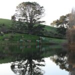 Hobbiton and Waitomo Caves from Auckland - Smaller Group - Transportation and Logistics: Comfort and Convenience