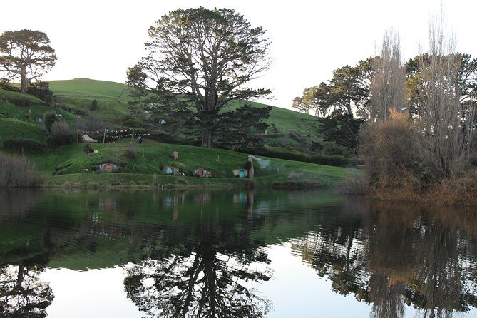 Hobbiton and Waitomo Caves from Auckland - Smaller Group - Transportation and Logistics: Comfort and Convenience