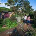Hobbiton Movie Set day tour From Auckland - Key Points